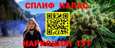 шишки Партизанск