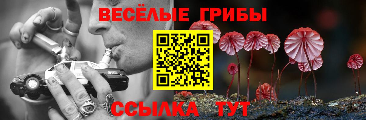 Нерюнгри  Галлюциногенные грибы GOLDEN TEACHER  Вход с VPN  Псилоцибиновые грибы MAGIC MUSHROOMS 