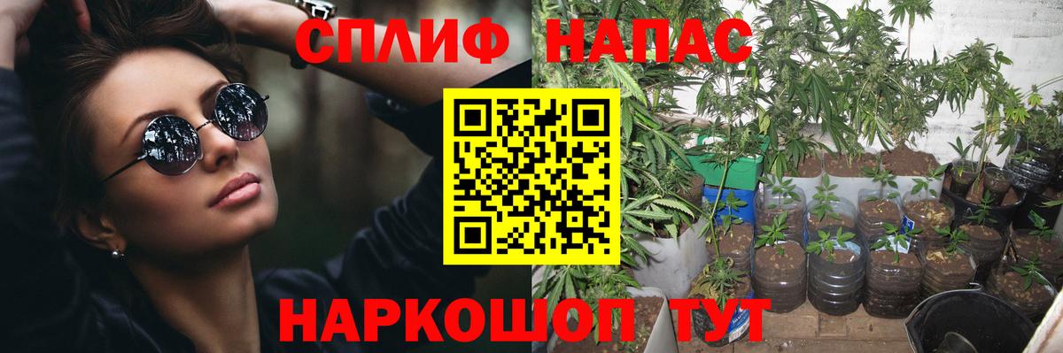 Конопля ГИДРОПОН  Вход с VPN  Нерюнгри  Марихуана White Widow  Бошки марихуана Bruce Banner  МАРИХУАНА план 